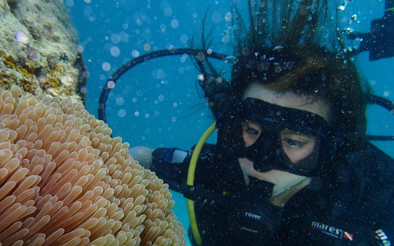 ビーチダイビング